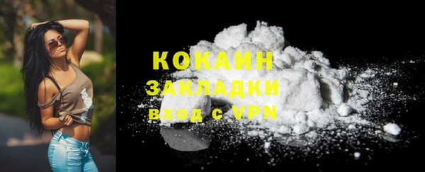 ПСИЛОЦИБИНОВЫЕ ГРИБЫ Пересвет