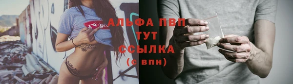 ПСИЛОЦИБИНОВЫЕ ГРИБЫ Пересвет