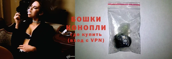 ПСИЛОЦИБИНОВЫЕ ГРИБЫ Пересвет
