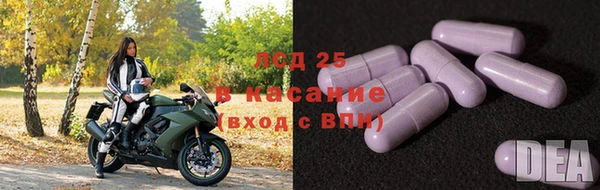 ПСИЛОЦИБИНОВЫЕ ГРИБЫ Пересвет