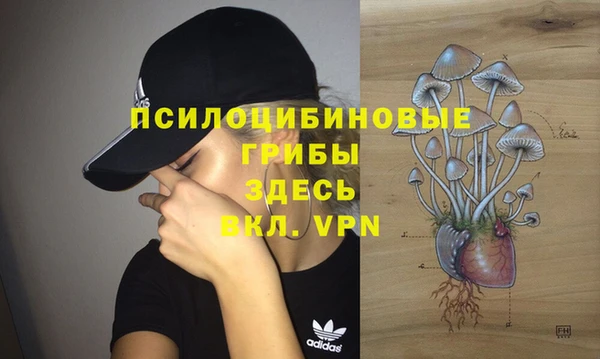 ПСИЛОЦИБИНОВЫЕ ГРИБЫ Пересвет