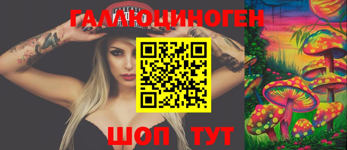Псилоцибиновые грибы Psilocybe  Галлюциногенные грибы GOLDEN TEACHER  Родники  Вход с VPN 