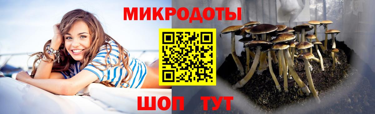 Псилоцибиновые грибы ЛСД Родники